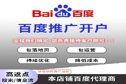 百度竞价排名实战：关键词优化与落地页优化案例